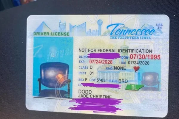 Mulher recebe carteira de motorista com foto de cadeira no lugar de rosto