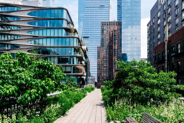 Foto colorida de área verde perto de centro urbano - Metrópoles