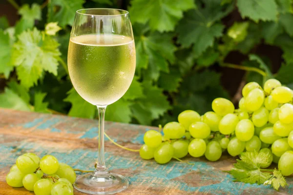 Foto colorida de vinho branco em taça, rodeada por uvas -verdes - Metrópoles