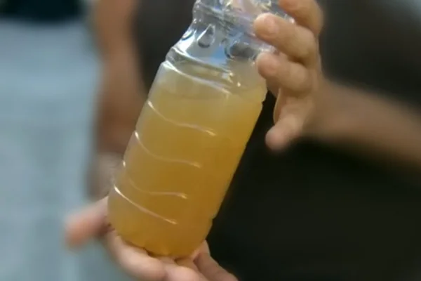 Cheiro e gosto ruins na água do Rio de Janeiro não é geosmina, diz pesquisa