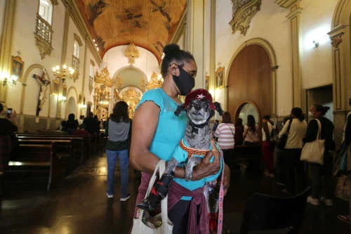Animais na missa desta segunda-feira (4/10) Animais na missa desta segunda-feira (4/10)