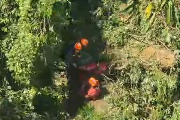 Imagem colorida de bombeiros dentro de uma mata fechada fazendo o resgate de um homem - Metrópoles