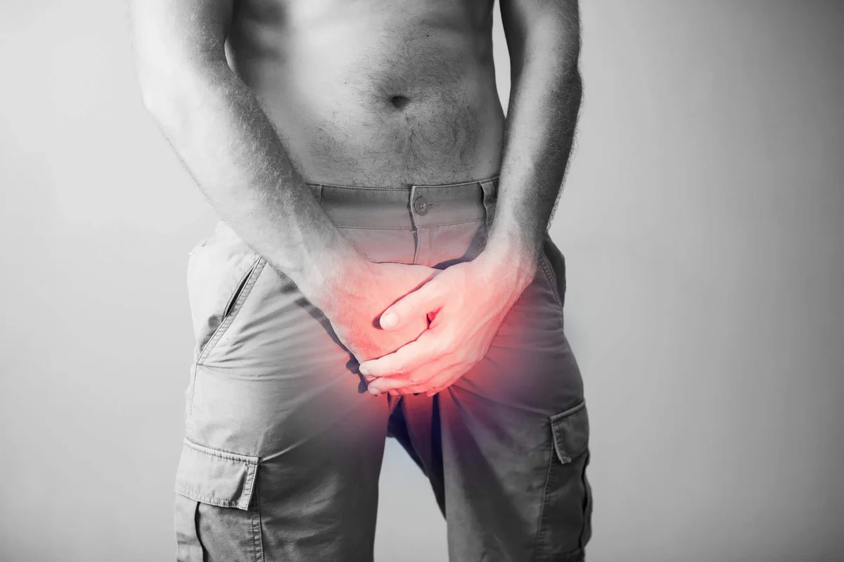 Cientistas sugerem maneira de prevenir a impotência sexual na velhice