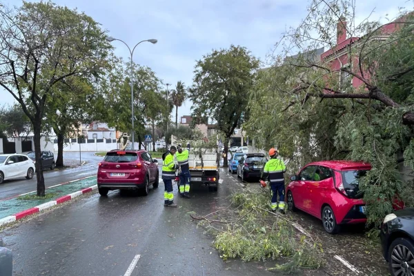 Tempestade na Espanha deixa estragos nas ruas