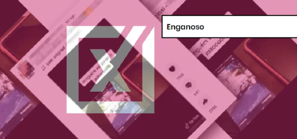 Publicação do Facebook em etiqueta "Enganoso"