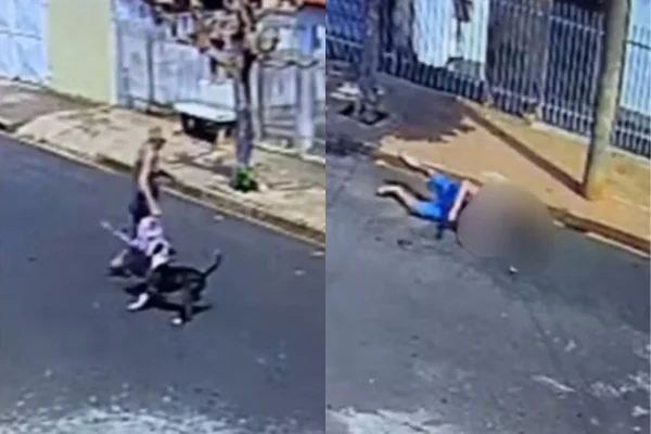 O acidente aconteceu na tarde de segunda-feira (25/8) em Vista Alegre do Alto. Uma criança teria aberto o portão e deixado o pit-bull sair - Metrópoles