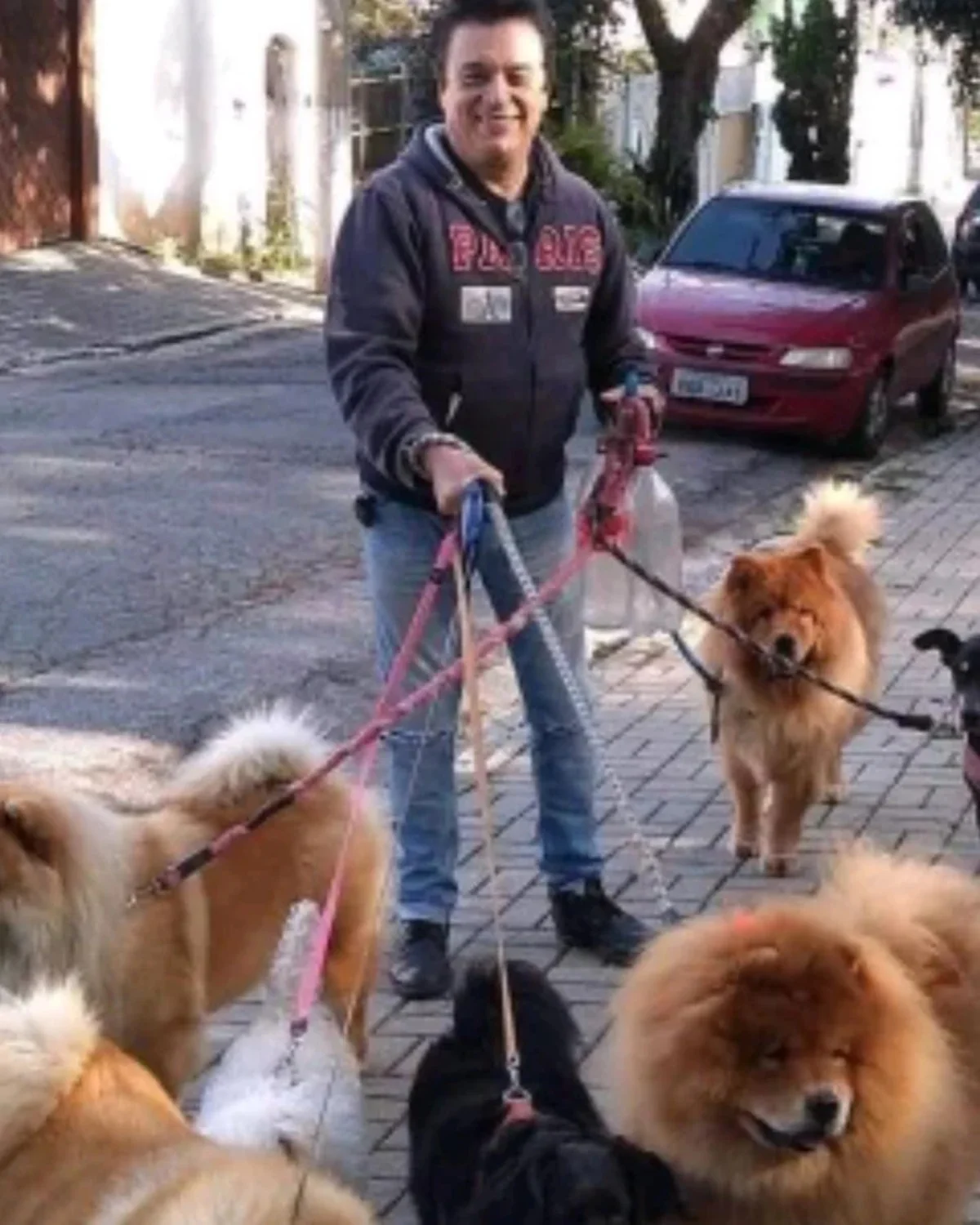 Nahim posa com seus cães durante passeio Nahim posa com seus cães durante passeio