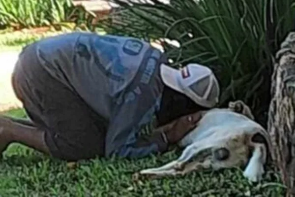 Policial militar mata cachorro em ponto turístico de Pirenópolis