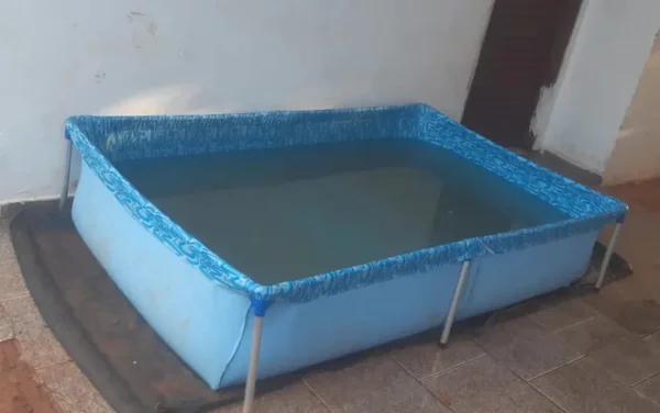 imagem colorida piscina de plastico bebe afogado goias