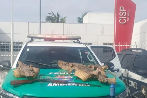 Pele de Jacaré e espingada são apreendidos em Alagoas