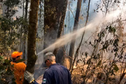Queimadas em Vinhedo (SP)