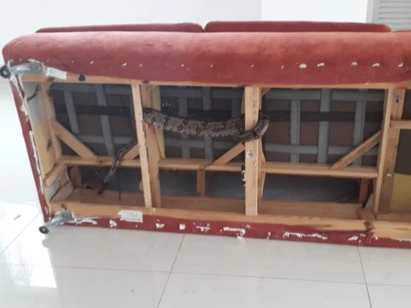 jiboia-sofa-metropoles