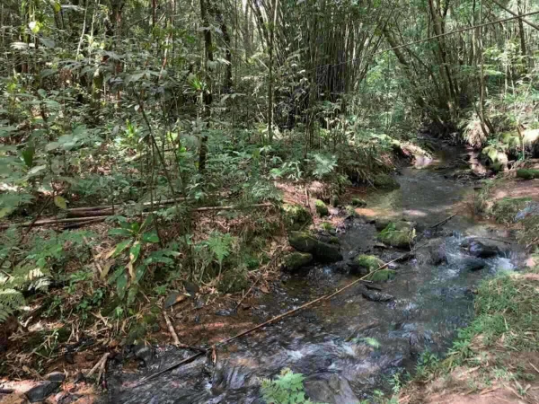 Foto colorida mostra córrego na Estrada do Palomar