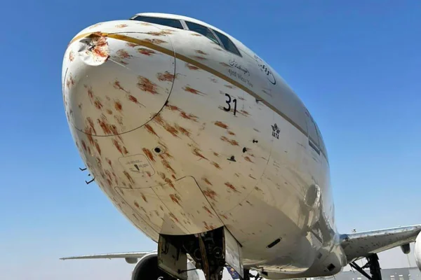 Imagem colorida, Vídeo: avião atinge pássaros na decolagem e fica coberto de sangue - Metrópoles