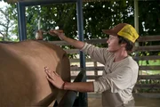 O trabalho realizado no centro também inclui cuidados veterinários integrados