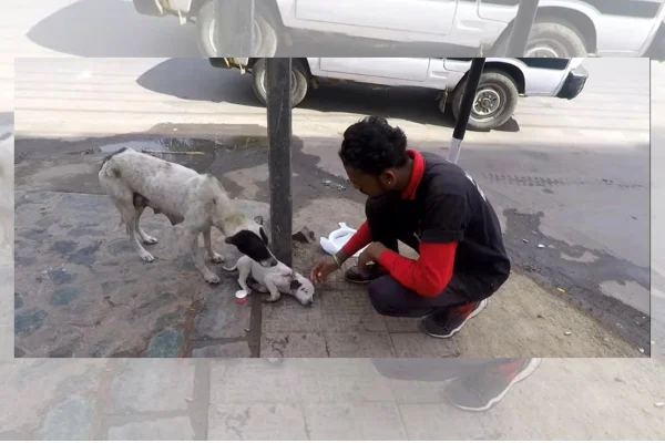Homem baixado na rua fazendo carinho em filhote de cachorro machucado, cadela olha atenta