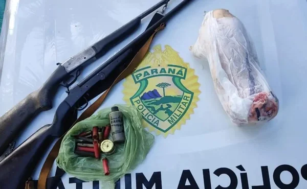 Animal em extinção abatido é encontrado em casa após denúncia no PR