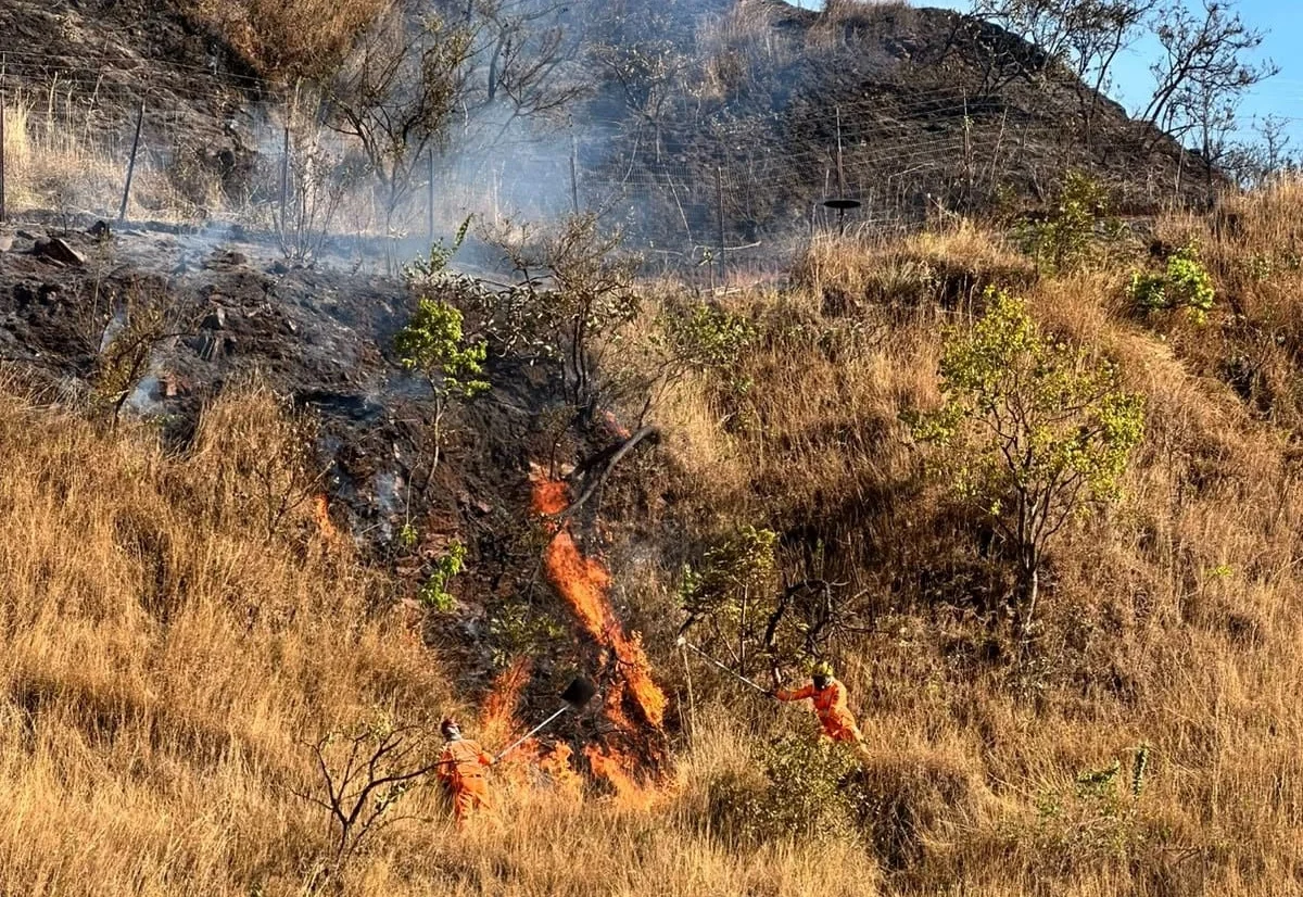 Bombeiros combates as chamas na Serra do Curral em BH Bombeiros combates as chamas na Serra do Curral em BH