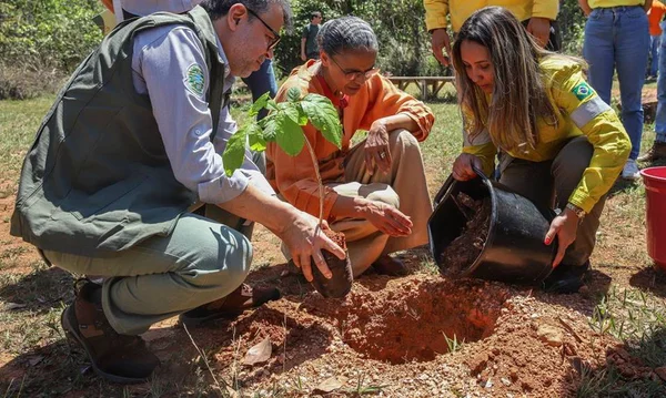 Imagem colorida da Ministra do Meio Ambiente, Marina Silva, com projeto de reflorestamento