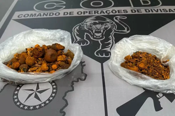 Imagem colorida, pedras de vesículas de boi - Metrópoles