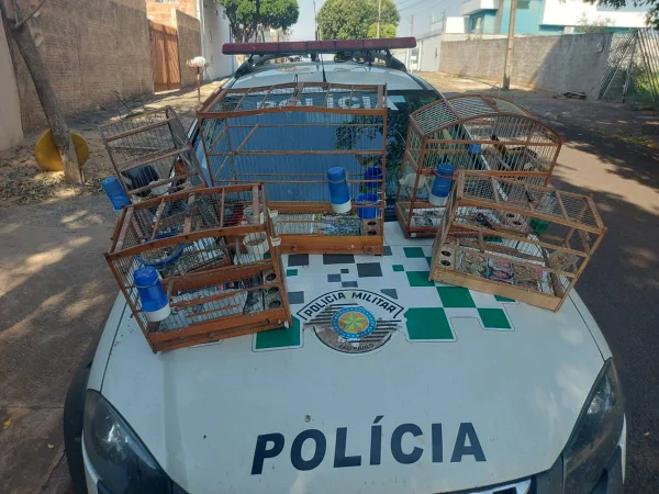 Em Presidente Prudente, interior de SP, homem é multado em R$3,3 mil por manter ave híbrida em cativeiro e introduzi-la na natureza - Metrópoles