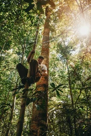 Turismo de natureza permite conhecer detalhes da floresta amazônica Turismo de natureza permite conhecer detalhes da floresta amazônica