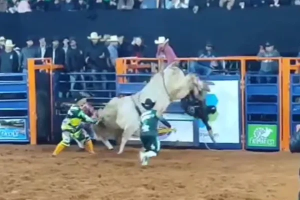 Imagem colorida mostra trecho de vídeo em que peão é pisoteado por touro - Metrópoles