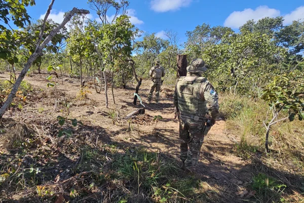 Grilagem de terra: PM flagra crime pela 2ª vez no mesmo local em 1 mês