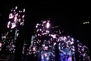 Painéis de LED com pétalas caindo