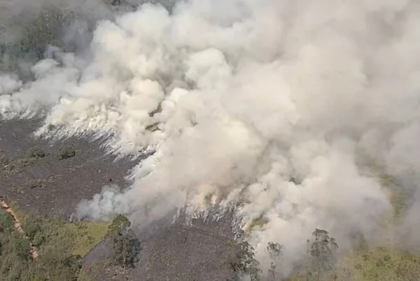 Focos de incêndio atingem área de vegetação fechada em São Paulo