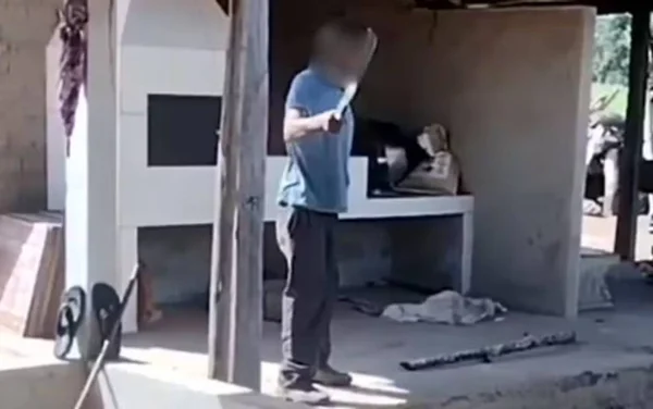 imagem colorida avo agride neta com podao