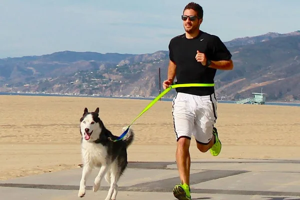 Canicross: saiba tudo sobre a corrida para cães