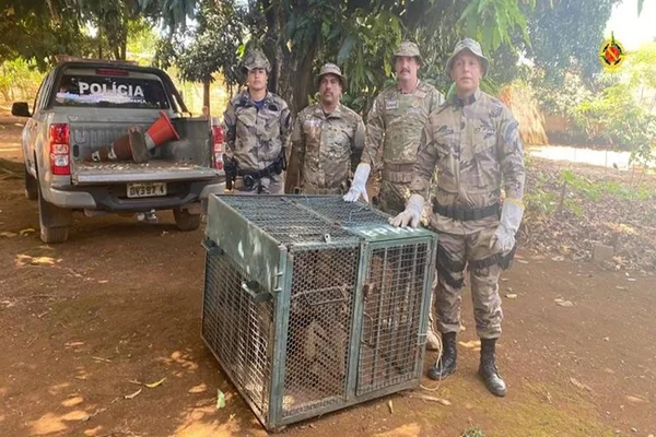 Policias perto de gaiola