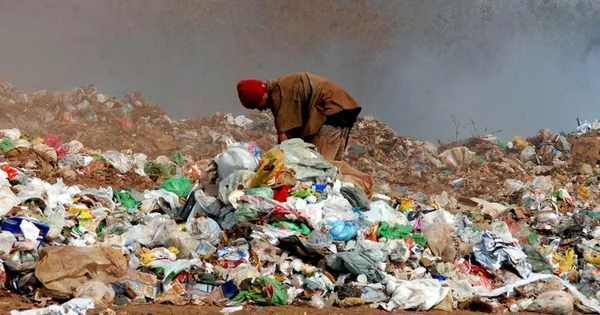 reciclagem