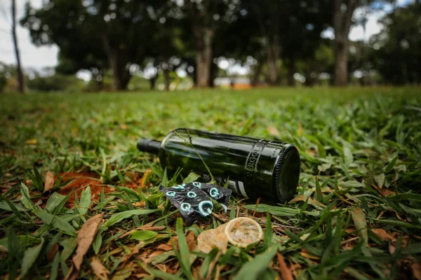 Parque da Cidade: “Castelinho do Sexo” tem rodinha da bronha e “empurrada” sob mangueiras