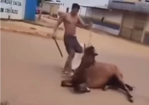 Homem espancando cavalo