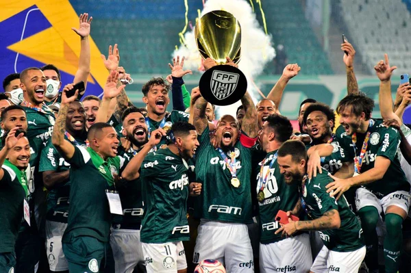 Palmeiras campeão