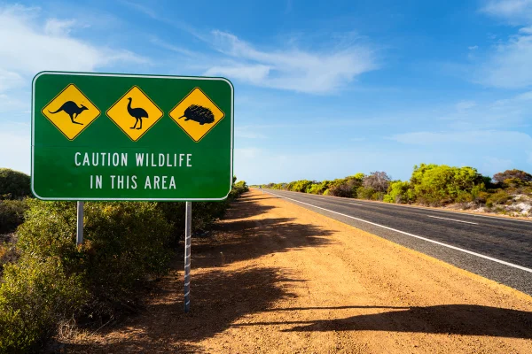 Imagem colorida de placa indicando a presença de animais na Austrália - Metrópoles