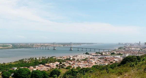 Com 78 casos de microcefalia, Sergipe decreta emergência
