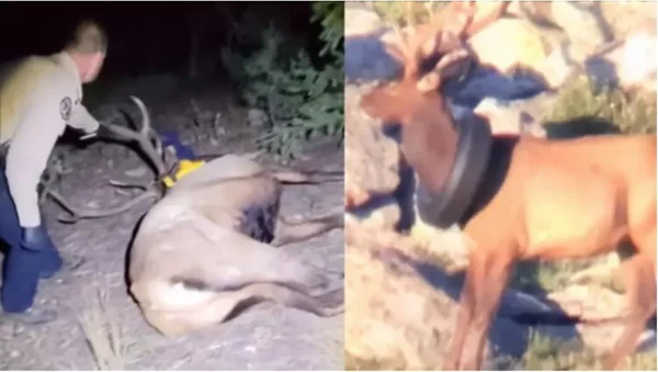 COLORADO PARKS AND WILDLIFE