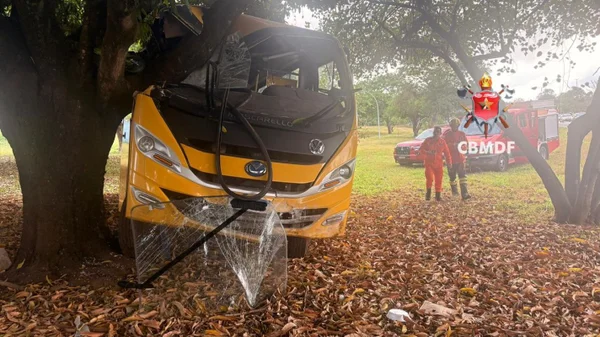 Ônibus escolar com 27 crianças bate em árvore e duas vão para o hospital - destaque galeria