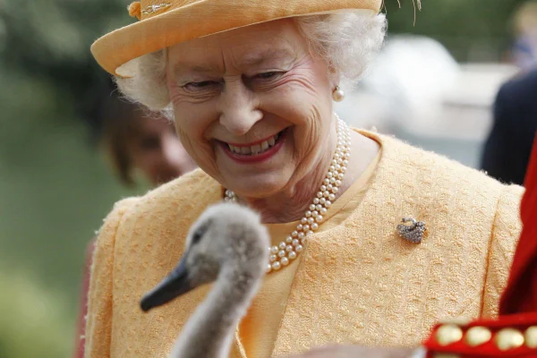 Rainha Elizabeth e cisne