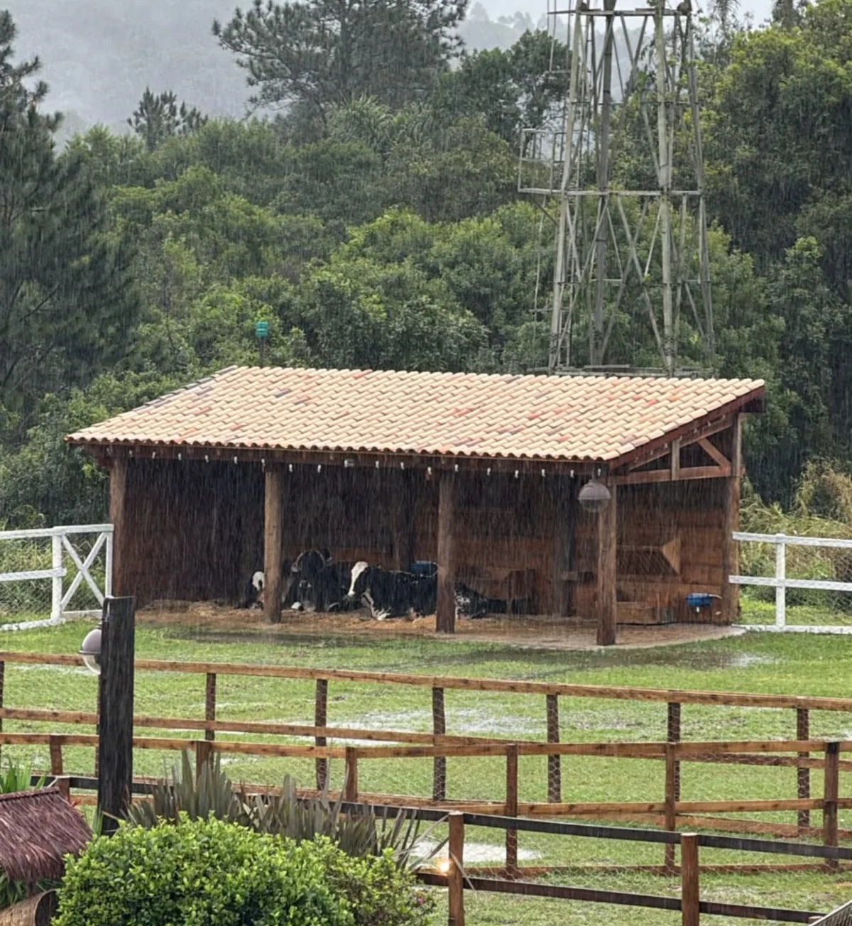 Detalhes da mansão de A Fazenda 18 Detalhes da mansão de A Fazenda 18