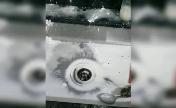 Traficante é preso tentando jogar cocaína na pia da cozinha. Veja vídeo