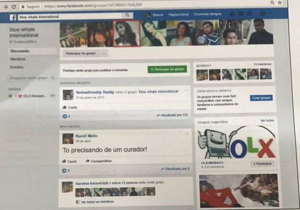Mistério no Pará: baleia jubarte passa por necropsia