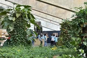 Mostra vai até 17 de julho Mostra vai até 17 de julho