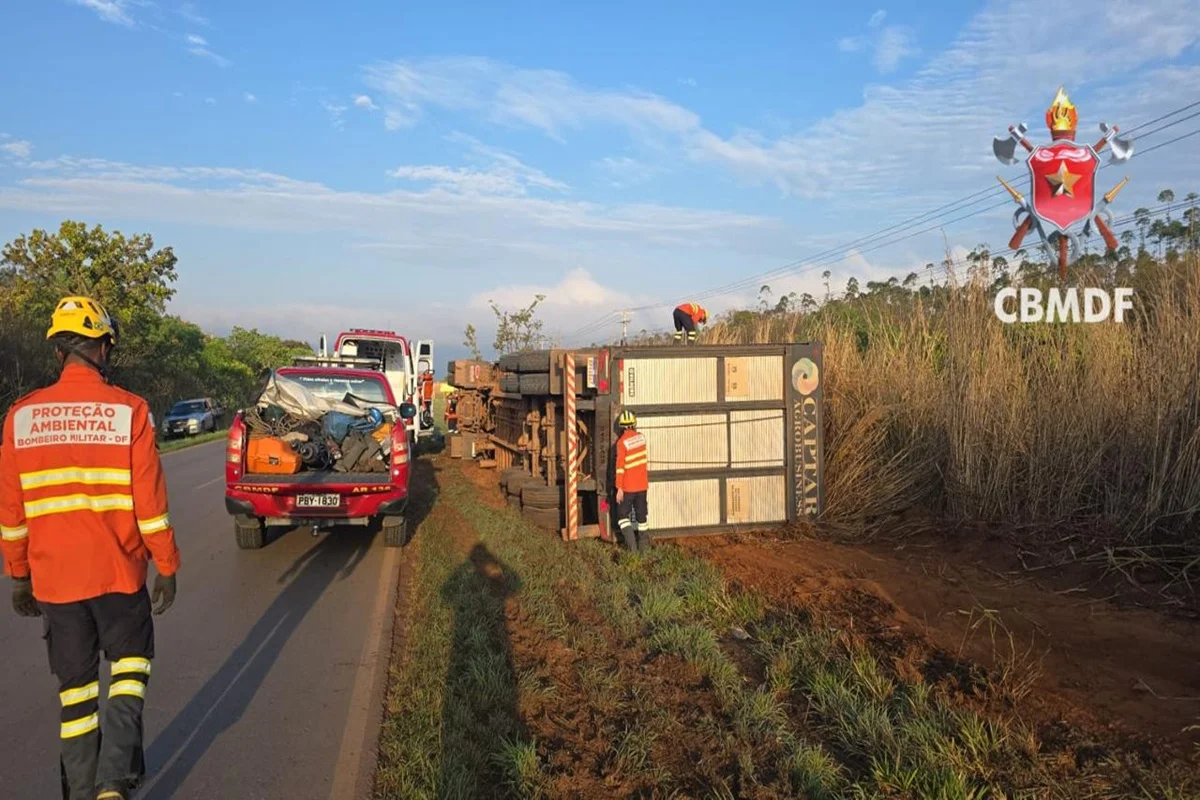 O caminhão transportava cerca de 48 bovinos O caminhão transportava cerca de 48 bovinos