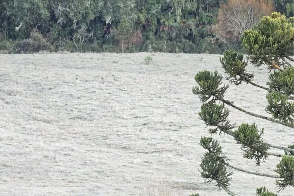 Imagem colorida, entre a Serra, parte do Planalto Norte e o Meio-Oeste, as temperaturas devem apresentar um declínio- Metrópoles