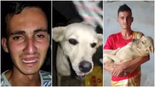 Jovem reencontra em bloco de Carnaval cão desaparecido há 4 meses