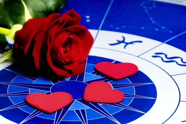 O signo do crush importa? Estudo revela que sim. Entenda